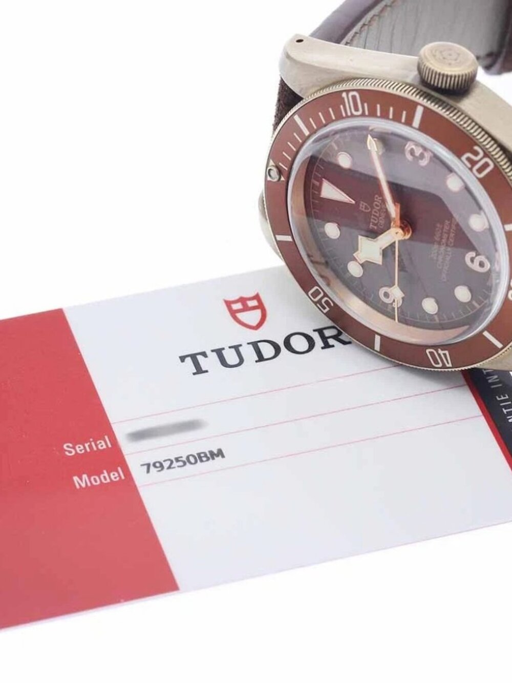 TUDOR Heritage Black Bay Bronze 79250BM Brown Dial Automatic Men's Watch_956096 - Picture 2 of 7